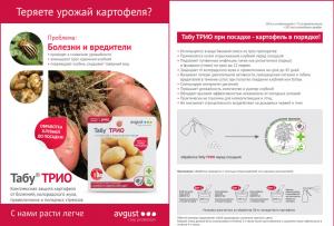 Табу ТРИО (Август), 4 мл + 10 мл + 5 мл - картинка 2