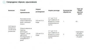 Бордоская жидкость ВСК (Август), 100 мл - картинка 3