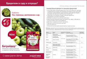 Батрайдер СК (Август), 10 мл - картинка 2