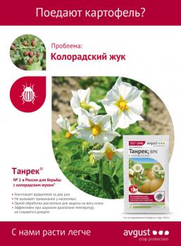 Танрек ВРК от колорадского жука (Август), 10 мл - картинка 2