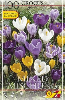 Крокус крупноцветковый смесь (Crocus vernus Mixed), 100 шт - картинка 1