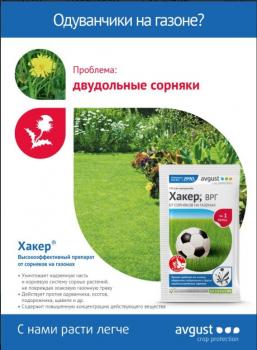 Хакер ВРГ от сорняков (Август), 2.5 г - картинка 2