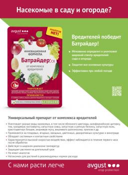 Батрайдер СК (Август), 10 мл - картинка 3