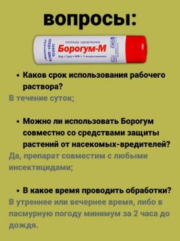 Борогум-М Завязь, 0.2 л - картинка 11