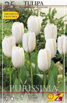 Тюльпан Пуриссима (Purissima), 25 шт (разбор 11/12) - картинка 2