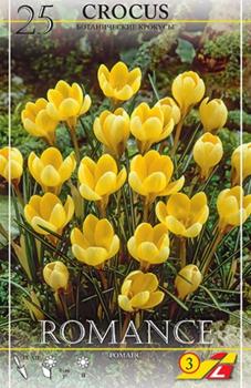 Крокус Романс (Romance), 25 шт (разбор 5/7) - картинка 4
