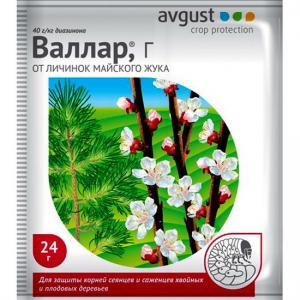 Валлар Г (Август), 24 г - картинка 1