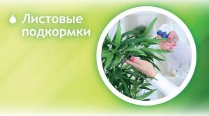 Витаминный микроэлементный комплекс "Аквамикс" (жидкий), 200 мл - картинка 2