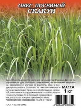 Овес посевной Скакун, 1 кг - картинка 1