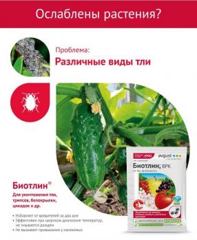 Биотлин ВРК (Август), 3 мл - картинка 2