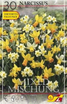 Нарцисс ботанический смесь (Botanical Narcissi mixed), 30 шт - картинка 1