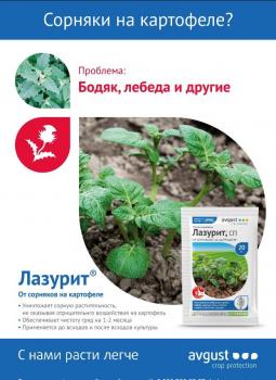 Лазурит СП от сорняков на картофеле (Август), 20 г - картинка 2