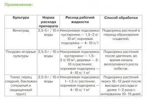 Секвестрен Турбо (азот + железо), 25 г (ExpertGarden) - картинка 1