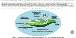 Биолипостим - биоприлипатель, 0.1 л - картинка 7