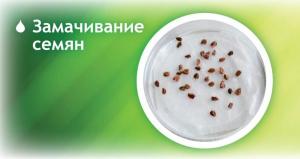 Витаминный микроэлементный комплекс "Аквамикс" (жидкий), 200 мл - картинка 3