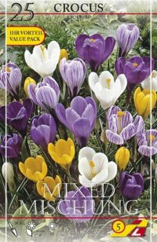 Крокус крупноцветковый смесь (Crocus vernus Mixed), 5 шт (разбор 8/9) - картинка 2