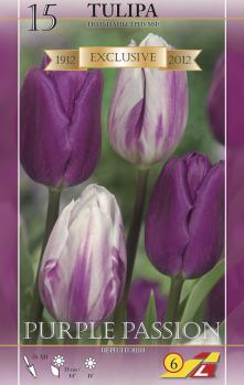Тюльпан Пёпл Пэшн смесь (Purple Passion - Passionale/Flaming Flag), 15 шт - картинка 3